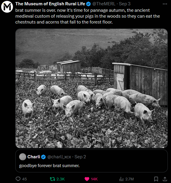 A tweet by The Museum of English Rural Life quote-tweeting Charli XCX saying 'goodbye forever brat summer.' with the text 'brat summer is sover. now it's time for pannage autumn, the ancient medieval custom of releasing your pigs in the woods so they can eat the chestnuts and acorns that fall to the forest floor.'