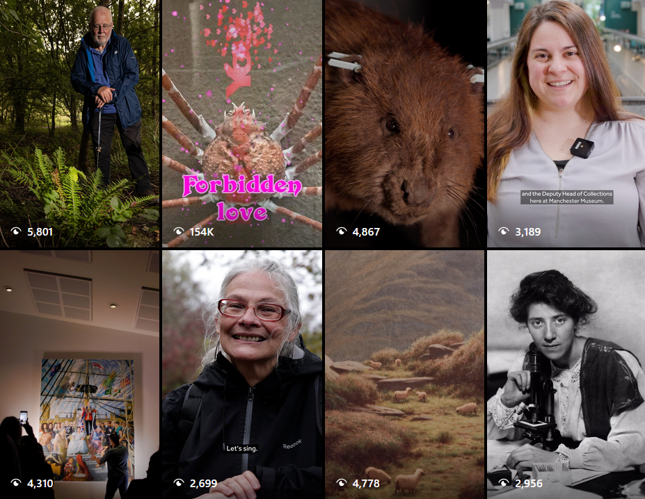 Instagram Reels by Manchester Museum in a grid, with the crab video sitting on 154k Likes and the other videos ranging from 2.6k to 5.8k,